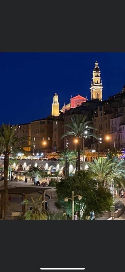 Menton Centre Vue Imprenable Sur Mer Et Jardin Bioves Exterior photo